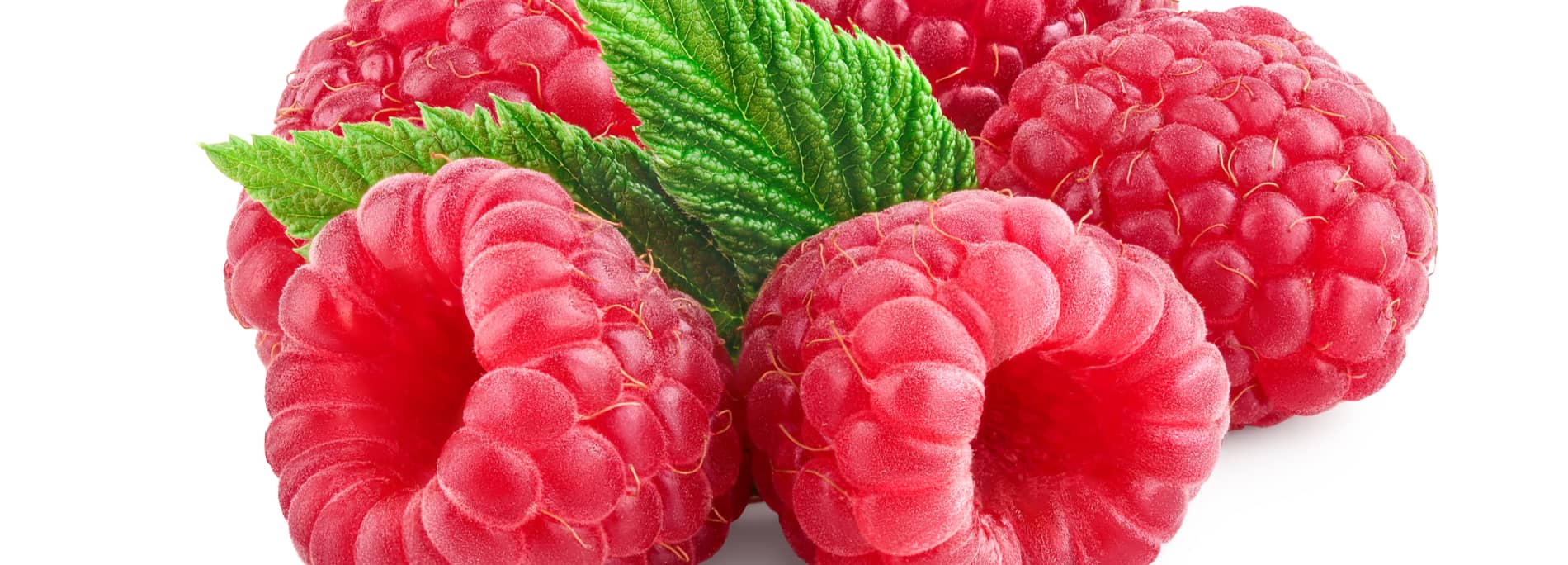 Guía de la frambuesa 🥭 Blog Hero